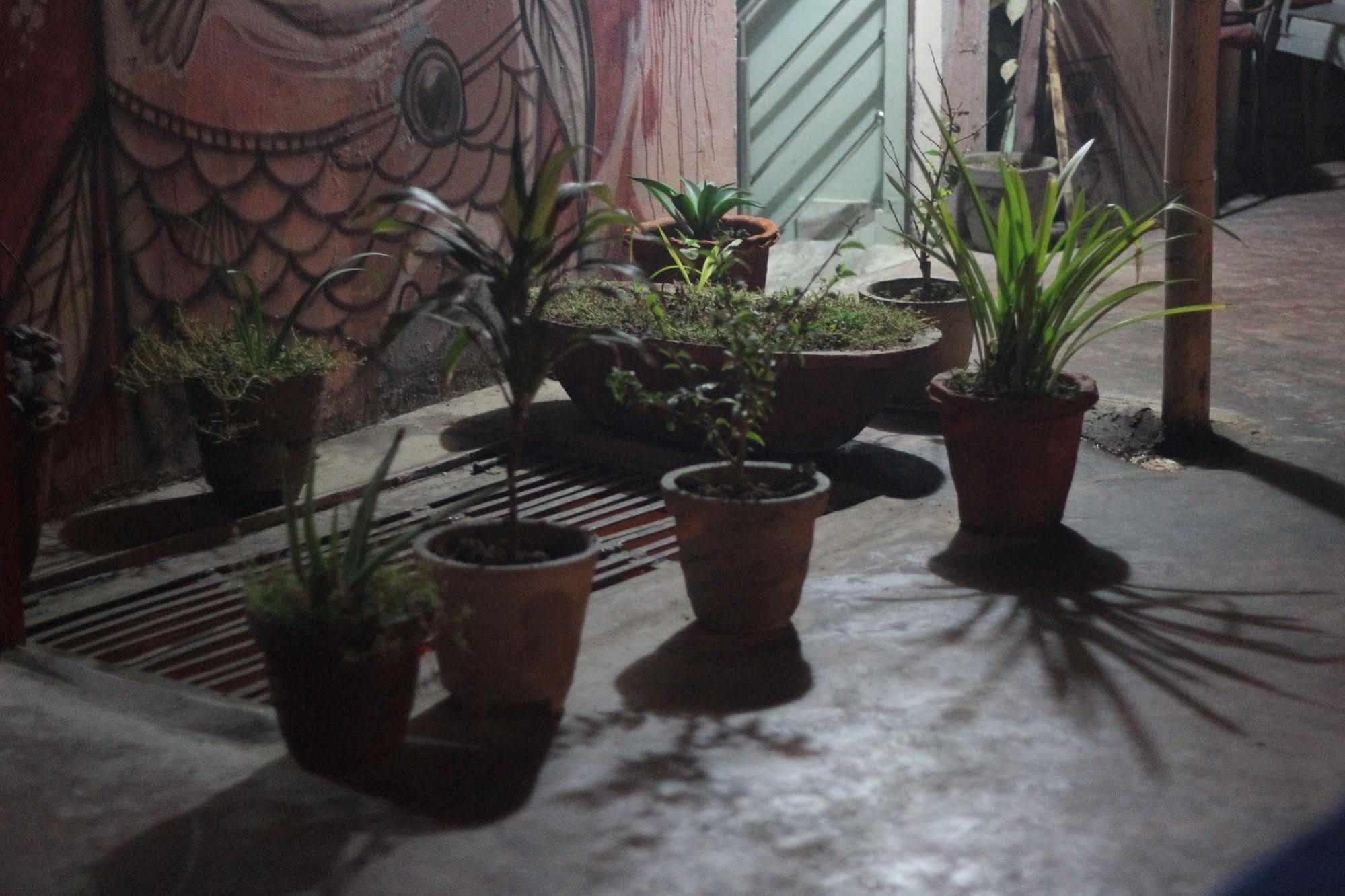 Pyrenees Homestay Agra  Exterior photo